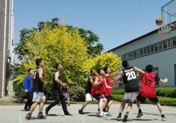 сотрудников-2