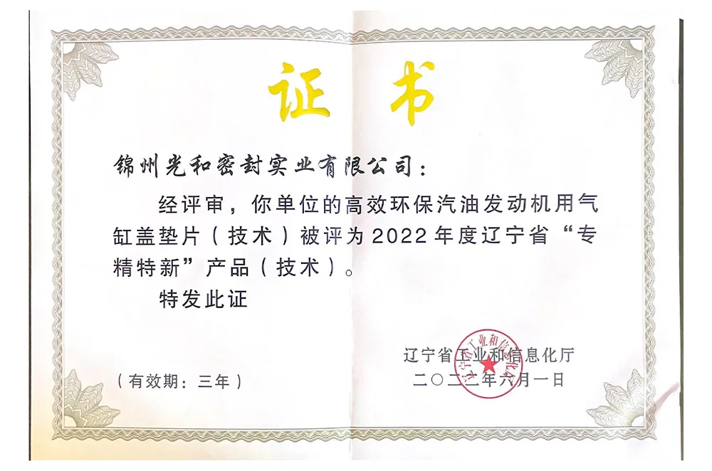 Сертификат (10)