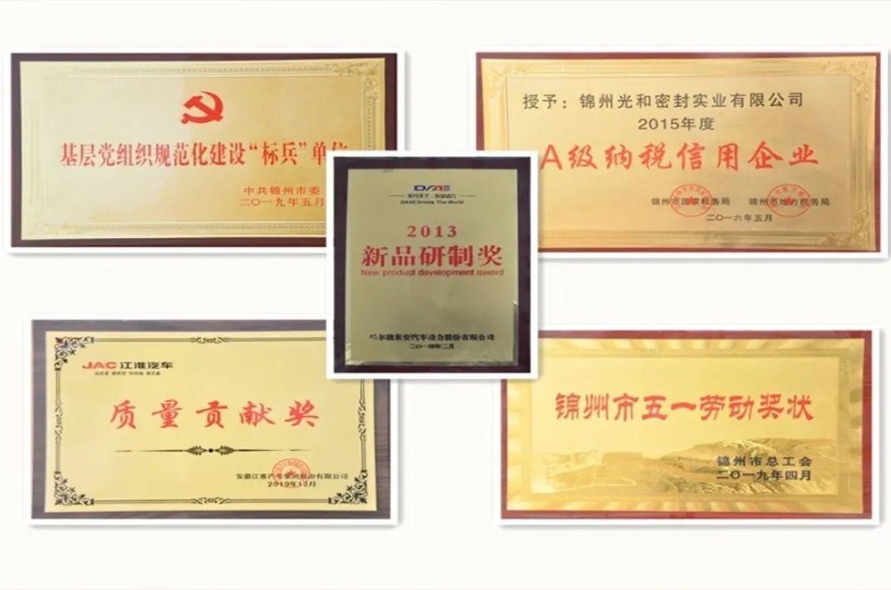 Сертификат (11)