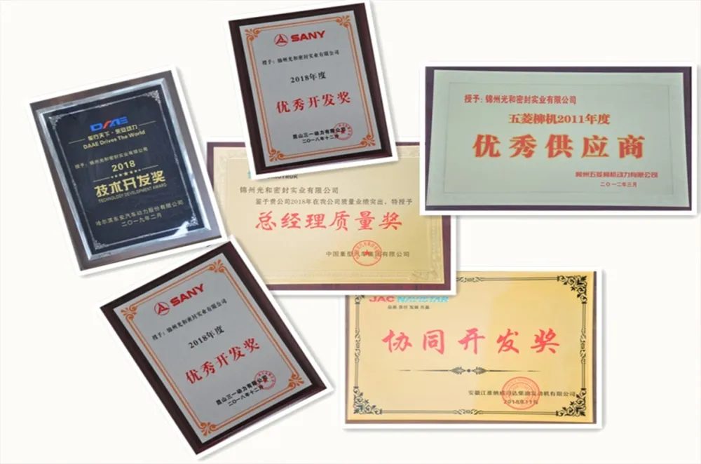 Сертификат (12)