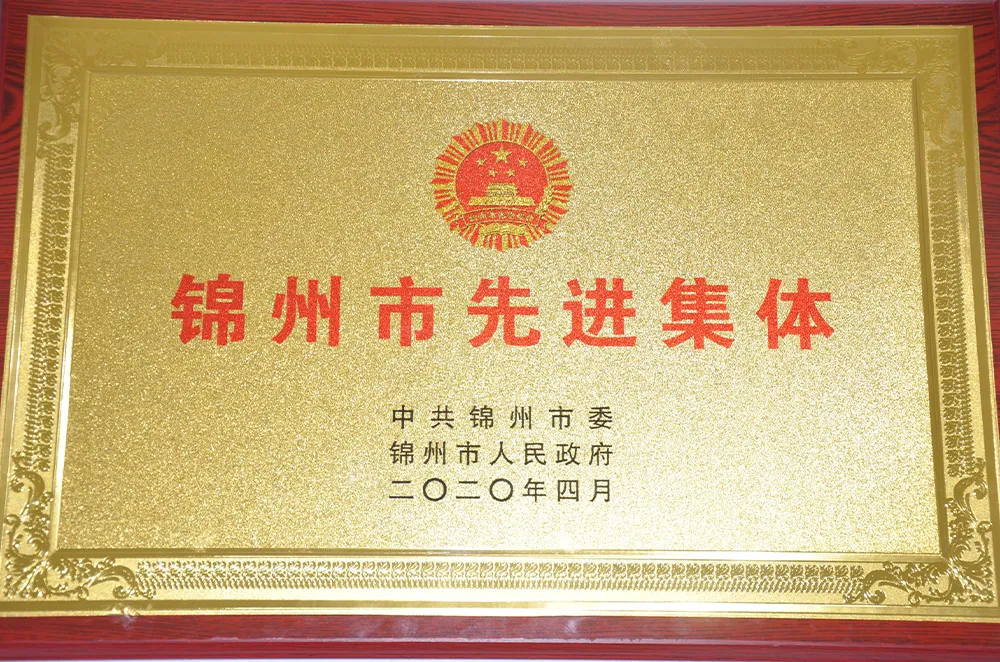 Сертификат (4)